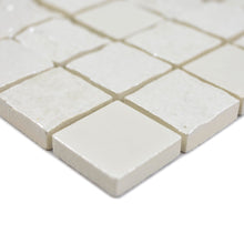 Załaduj obraz do przeglądarki galerii, Mozaika ceramiczna kolor biały połysk T11