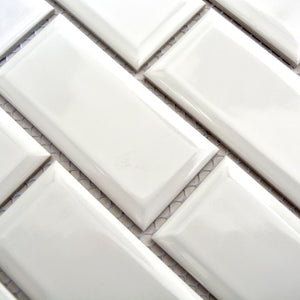 Mozaika ceramiczna kolor biały połysk T14