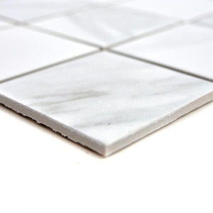 Mozaika ceramiczna kolor biały mat T9