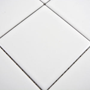 Mozaika ceramiczna kolor biały mat T11